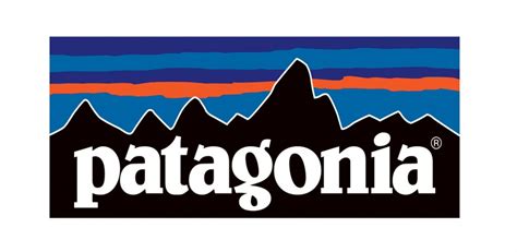 How Patagonia uses cause marketing to boost sales and brand reputation (2024)