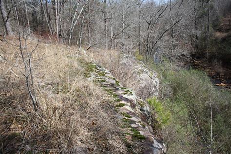 Cumberland Plateau Grassland Gallery — Southeastern Grasslands Institute