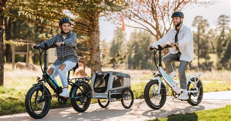 Xpedition Dual-Battery Cargo eBike – Lectric eBikes®