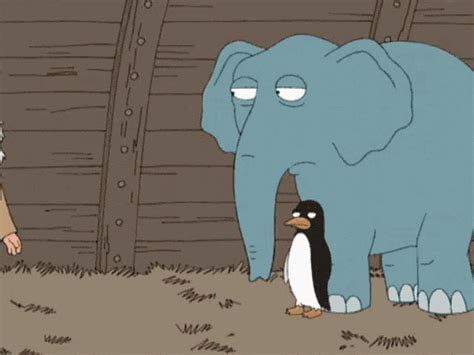 Meme What The Hell Is This GIF – Meme What The Hell Is This Elephant ...