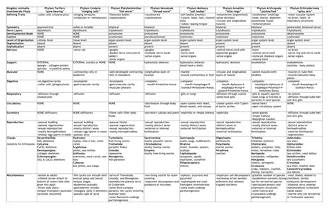 Invertebrate Phylum Chart