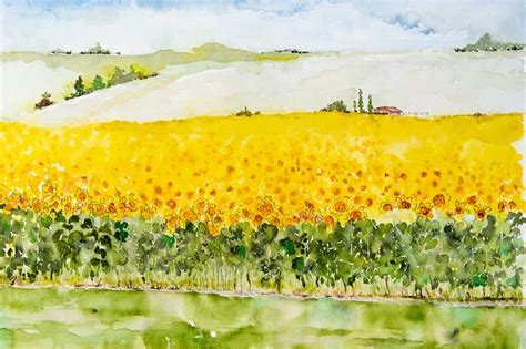 watercolor painting of sunflowers in the field near a body of water ...