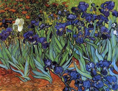 Irises, 1889 - Vincent van Gogh - WikiArt.org