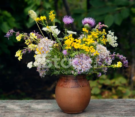 Autumn Wildflowers Bouquet Stock Photo | Royalty-Free | FreeImages