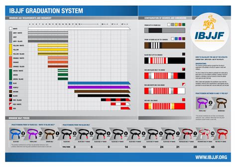 The BJJ Belt System and What to Expect at Each Level – KVRA SHOP