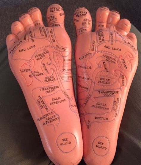 Why Would You Need a Pair of Reflexology Foot Model? | Medfield, MA Patch