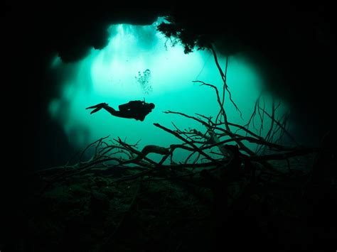 UnderwaterMexico (@Underwater_MX) | Twitter