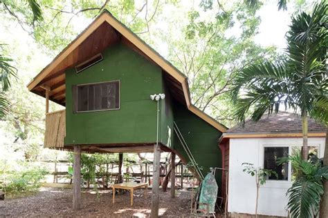 10 beautiful Florida treehouses you need to explore on your next ...