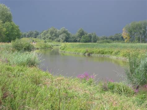 National Park The Biesbosch | National parks, North brabant, South holland