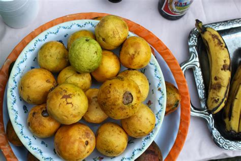 Agamé, Ethiopia: Cactus Fruit aka Beles or Prickly Pear