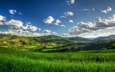 HD wallpaper: Sunny Green Hills, sunny hills, nature, landscape | Wallpaper Flare