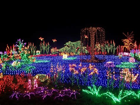 Indie Grace Wanderer: Bellevue Botanical Gardens Holiday Lights