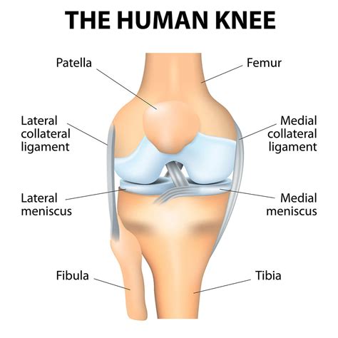 Knee Pain Going Down the Stairs? All You Need To Know - AposHealth®