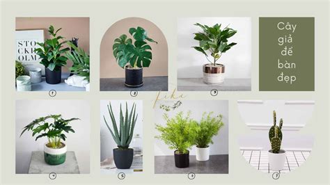 Top 50 cây decor phòng ngủ đẹp nhất