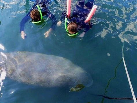 23 awesome snorkel spots within driving distance of Orlando | Orlando ...