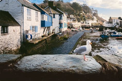 Polperro - Top Spots for this Photo Theme