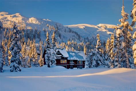 a cabin in the snow surrounded by trees