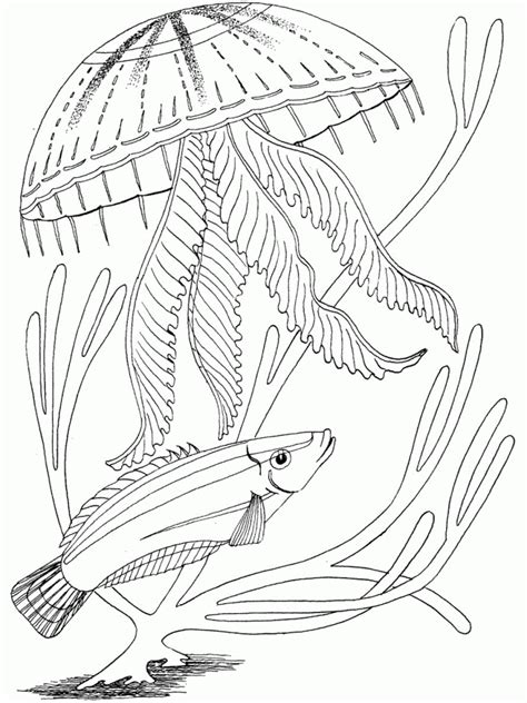 Free Printable Ocean Coloring Pages For Kids