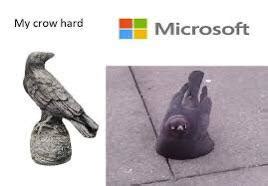 Crow Memes