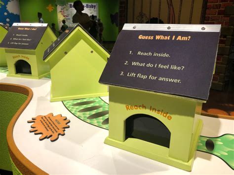 Fort Worth Museum Opens Grossology + Animal Grossology Exhibit - Life. Family. Joy