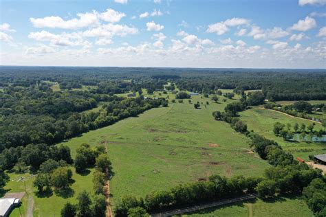 Alabama Cattle Farm for Sale - 5 Listings | Mossy Oak Properties ...