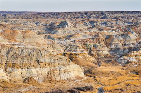 Dinosaur Provincial Park, Alberta, Canada Historical Facts and Pictures ...