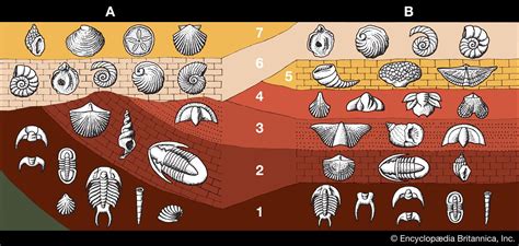 Geochronology - Radioactive Dating, Isotopes, Applications | Britannica