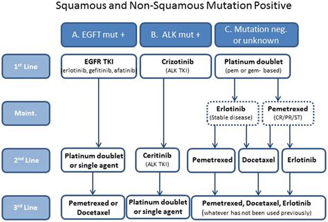 Frontiers | Treatment Algorithms for Patients with Metastatic Non-Small ...