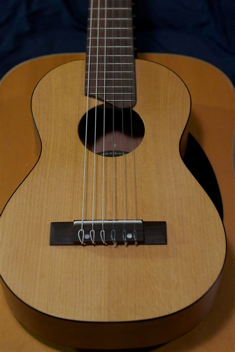 Free Images : acoustic guitar, slide guitar, musical instrument ...