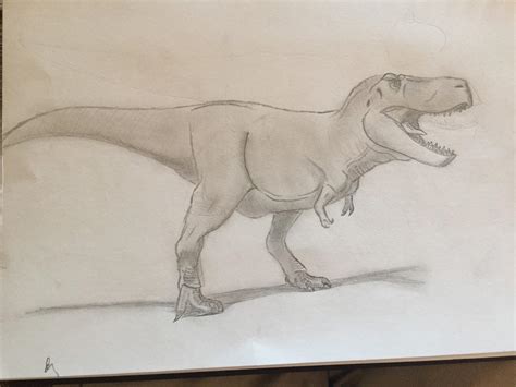 A Tyrannosaurus rex drawn by me : Dinosaurs