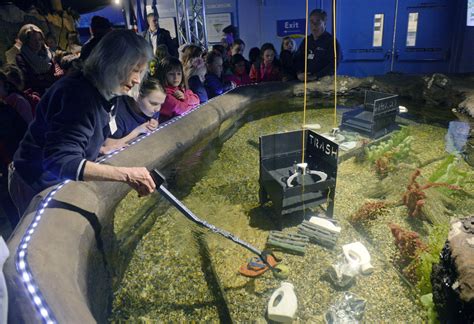 Aquarium exhibiting a love for clean water