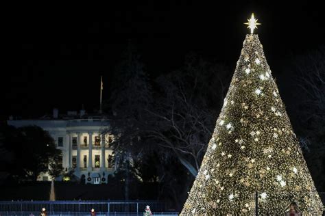 Donald Trump Says 'Every Person Is a Beloved Child of God' At National Tree Lighting Ceremony ...