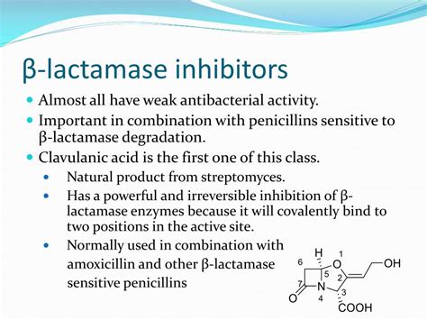 PPT - β -lactamase inhibitors PowerPoint Presentation, free download ...