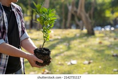 4,089 Trees Volunteer Hands Images, Stock Photos & Vectors | Shutterstock