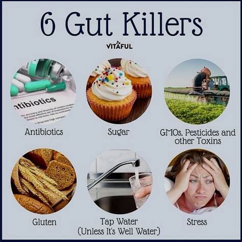 Pin by darya.kurnyayeva on Health in 2020 | Gut health, Healthy gut, Digestive health