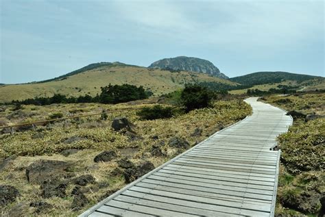 HALLASAN NATIONAL PARK, Jeju Island, South Korea: PICTURES OF JEJU ...