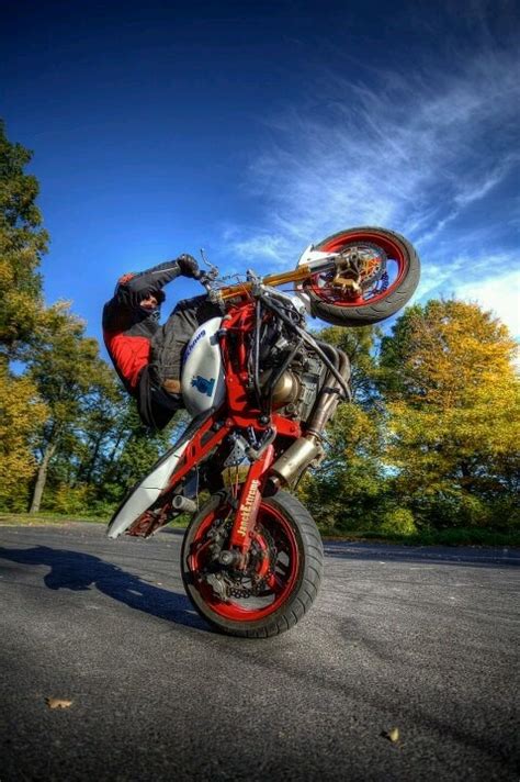 27 best images about Motorcycle Wheelies Pictures on Pinterest | Hd sportster, Sporty and A chicken