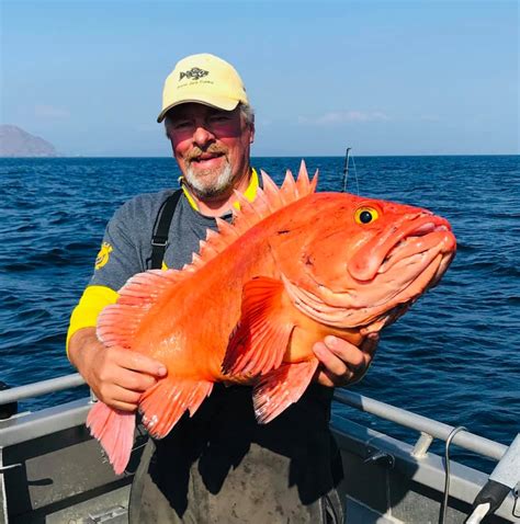 Big Fish Caught In Alaska