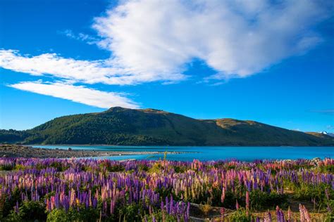 Lake Pukaki