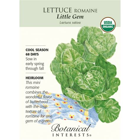 Organic Little Gem Romaine Lettuce Seeds - 500 Mg - Walmart.com