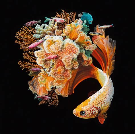 Des peintures de poissons fusionnant avec le corail par Lisa Ericson ...