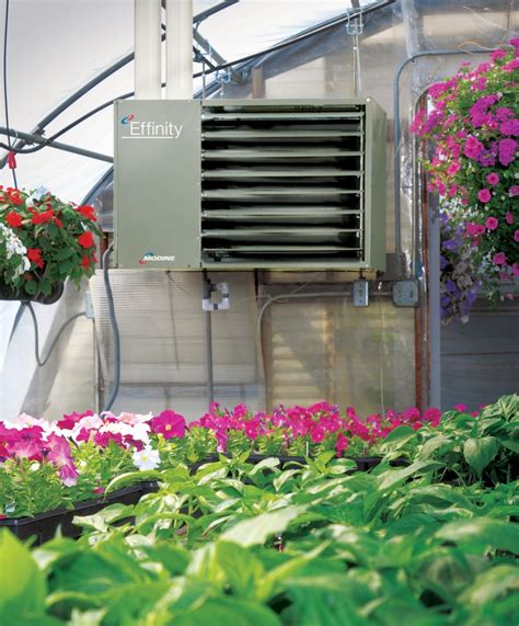 Modine-Effinity-Greenhouse-Heater | Ripley PR