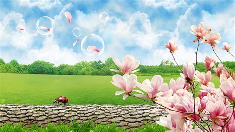 Spring So Beautiful, sakura, grass, firefox persona, spring, sky ...