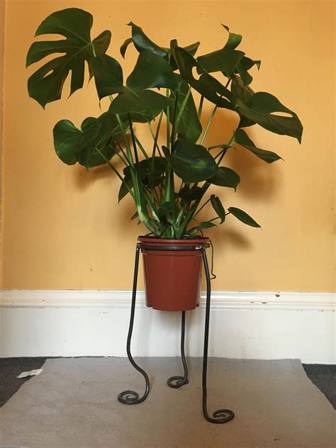 Recent Work – Plant pot stand – Dani Rothmann