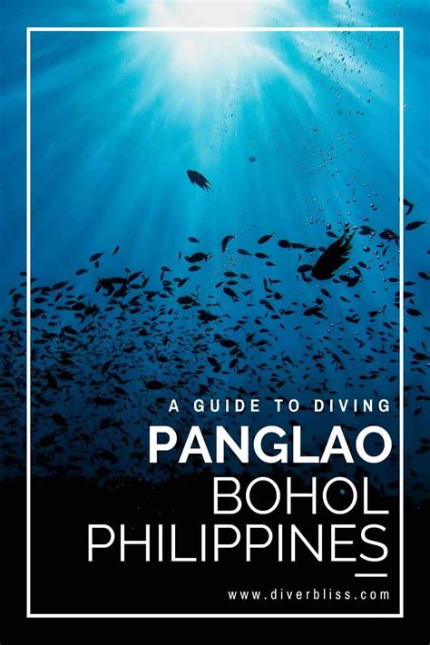 Panglao Diving: Complete Scuba And Travel Guide - Diver Bliss