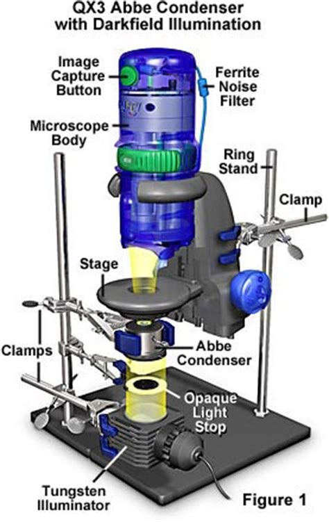 Molecular Expressions: Science, Optics and You - Intel Play QX3 Computer Microscope - Advanced ...