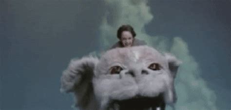 Neverending Story Bastian GIF - Find & Share on GIPHY