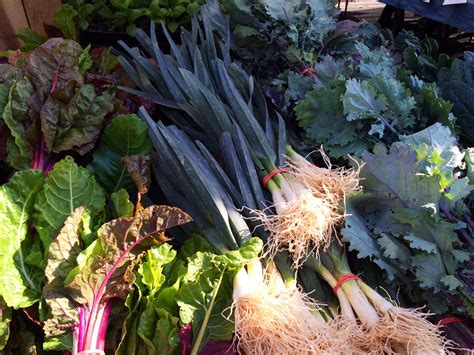 Around the Community: Falls Church Farmers Market – DC Delish