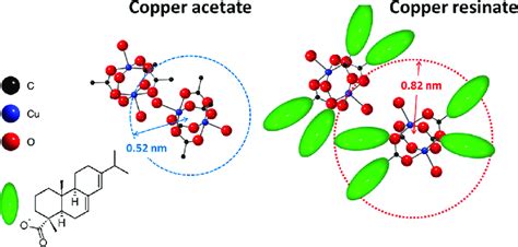 Molecular structures of copper acetate (determined by X-ray and neutron ...