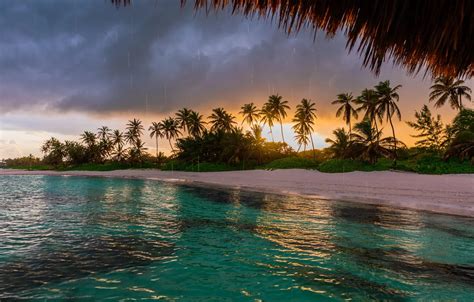 Wallpaper landscape, clouds, nature, tropics, palm trees, rain, the ocean, coast, Valentin ...